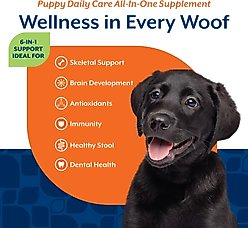 NaturVet Puppy Daily Care All-In-One Hickory Smoked Bacon Flavored Supplement for Dogs, 60 count slide 2 of 6