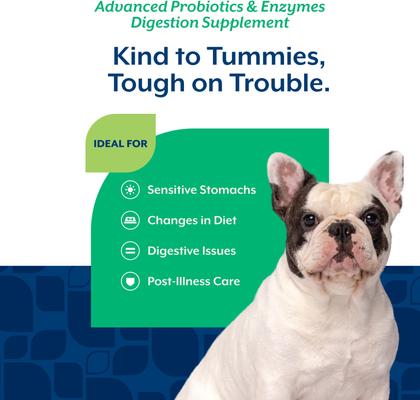 Show full view: NaturVet Advanced Probiotics & Enzymes Plus Vet Strength PB6 Probiotic Soft Chews Digestive Supplement for Dogs, 70 count slide 4 of 9