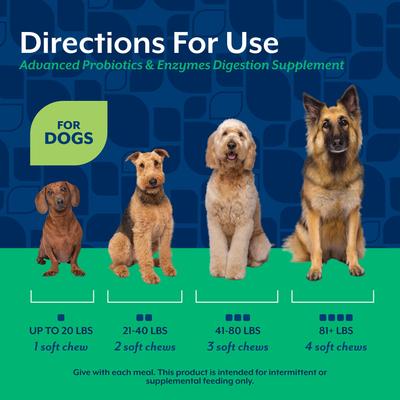 Show full view: NaturVet Advanced Probiotics & Enzymes Plus Vet Strength PB6 Probiotic Soft Chews Digestive Supplement for Dogs, 70 count slide 6 of 9