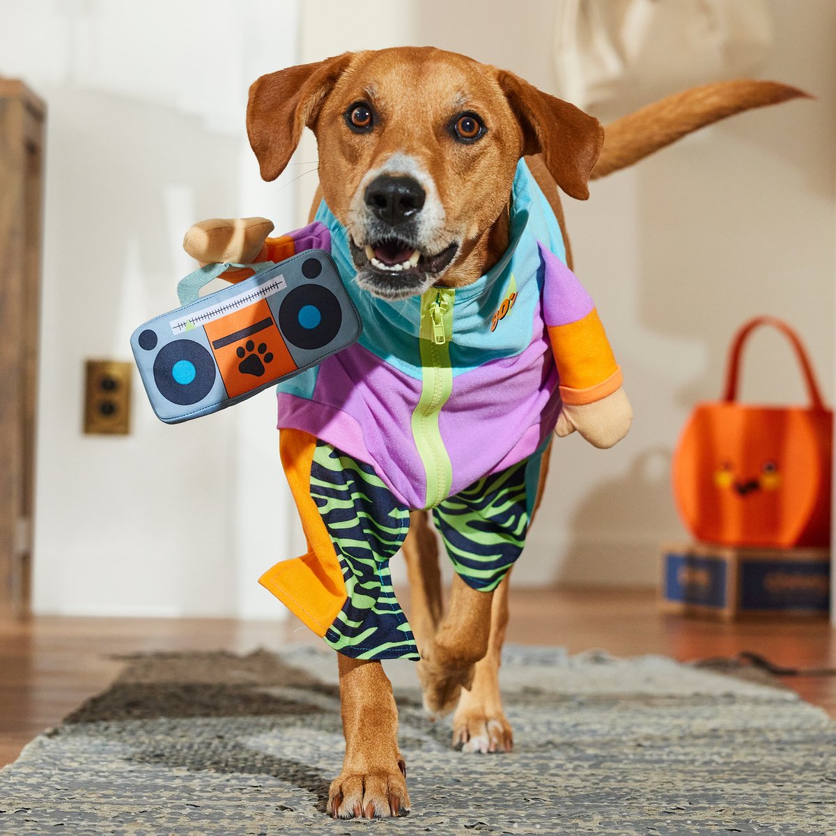 Frisco Front Walking 80s Retro Kid Dog & Cat Costume