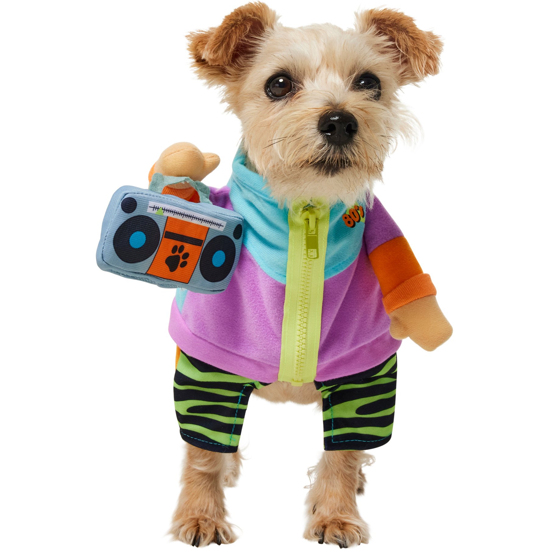 Frisco Front Walking 80s Retro Kid Dog & Cat Costume, Small