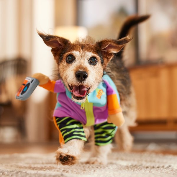 Frisco Front Walking 80s Retro Kid Dog & Cat Costume