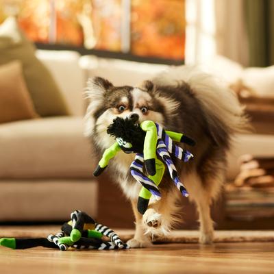 Show full view: Frisco Halloween Spider Plush Squeaky Dog Toy, Small/Medium, 2 count slide 3 of 7