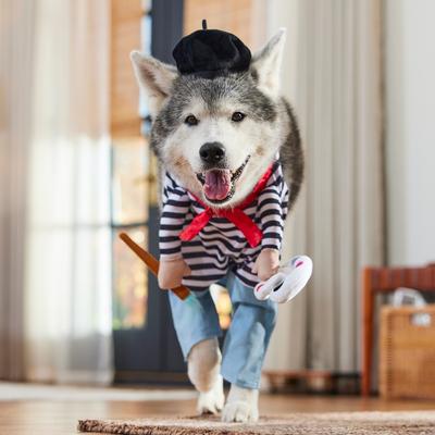 Show full view: Frisco Front Walking French Artist Dog & Cat Costume, X-Large slide 8 of 9