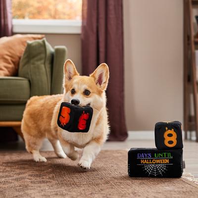 Show full view: Frisco Halloween 30 Days of Halloween Countdown Blocks Plush Squeaky Dog Toy, Medium, 3 count slide 4 of 8