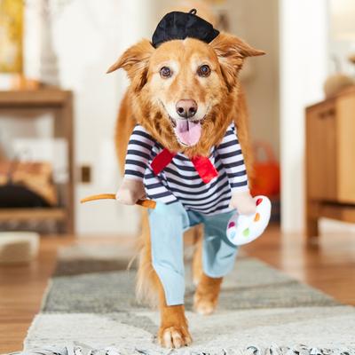 Show full view: Frisco Front Walking French Artist Dog & Cat Costume, XX-Large slide 8 of 9