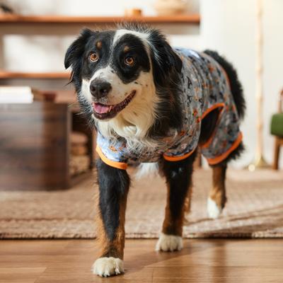 Show full view: Frisco Halloween Ghost, Bat, Pumpkin, and Witch Patterned Dog & Cat Jersey PJs, XX-Large slide 5 of 7