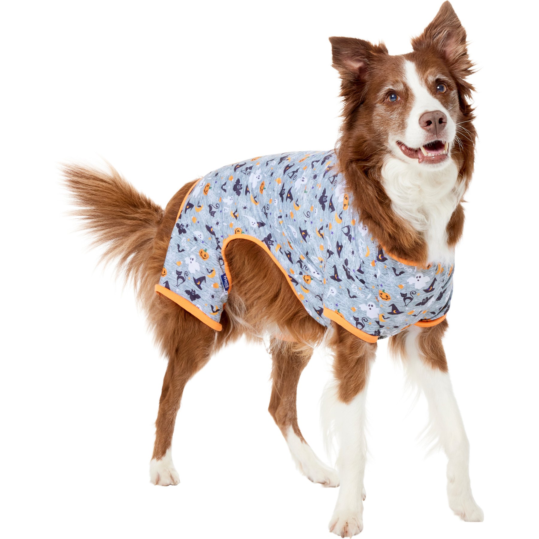 Frisco Halloween Ghost, Bat, Pumpkin, and Witch Patterned Dog & Cat Jersey Pajamas, XX-Large