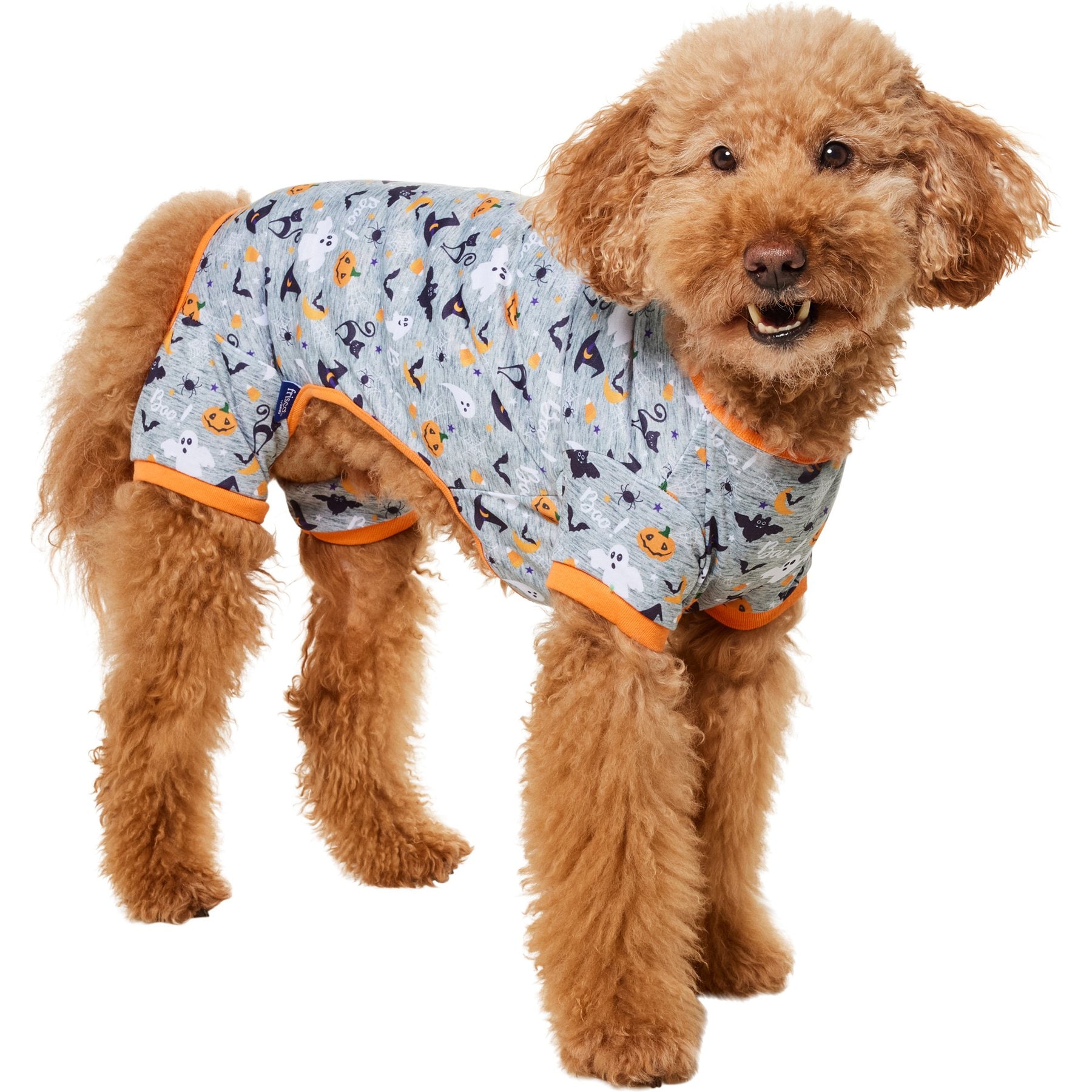 Frisco Halloween Ghost, Bat, Pumpkin, and Witch Patterned Dog & Cat Jersey Pajamas, X-Large