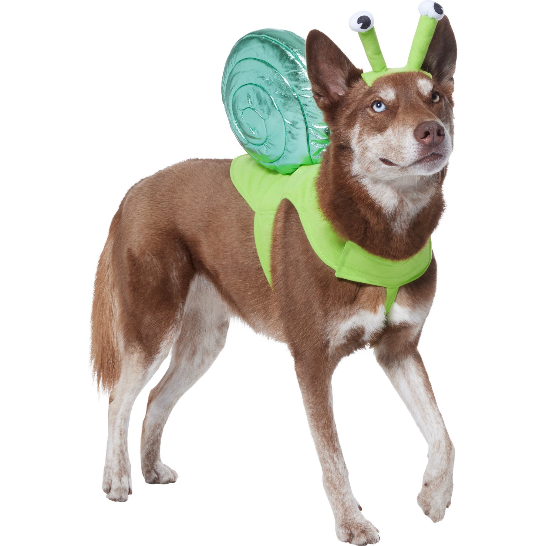 X-Large, Snail Dog & Cat Costume Frisco