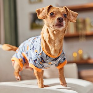 Frisco Halloween Ghost, Bat, Pumpkin, and Witch Patterned Dog & Cat Jersey PJs, Small