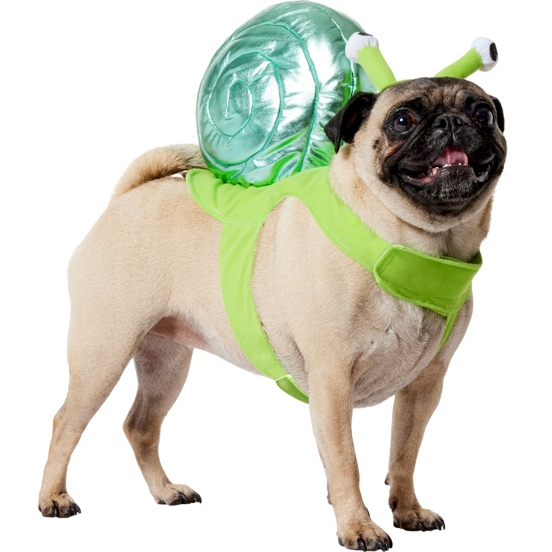 Frisco Snail Dog & Cat Costume