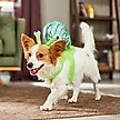 Show in main carousel: Frisco Snail Dog & Cat Costume, Medium slide 6 of 9