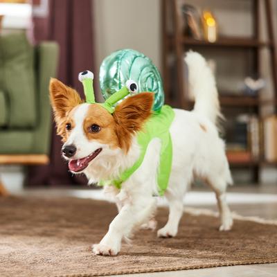 Show full view: Frisco Snail Dog & Cat Costume, Medium slide 6 of 9