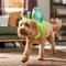 Show in main carousel: Frisco Snail Dog & Cat Costume, Large slide 6 of 9
