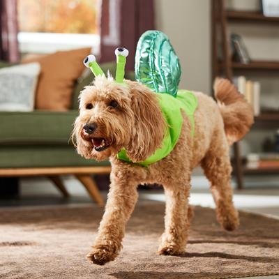 Show full view: Frisco Snail Dog & Cat Costume, Large slide 6 of 9