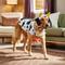 Show in main carousel: Frisco Happy Cow Dog & Cat Costume, XX-Large slide 6 of 8