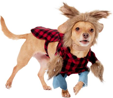 Show full view: Frisco Front Walking Werewolf Dog & Cat Costume, Small slide 5 of 10