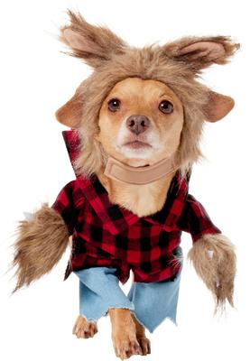 Show full view: Frisco Front Walking Werewolf Dog & Cat Costume, Small slide 4 of 10