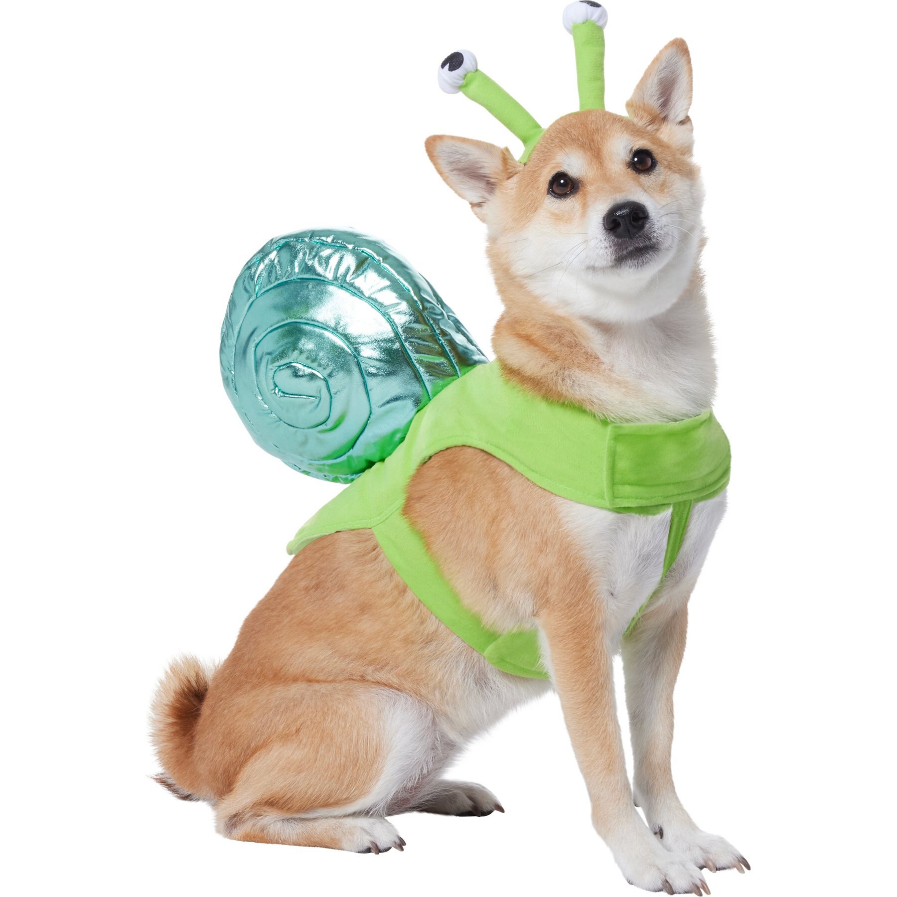Frisco Snail Dog & Cat Costume, Large