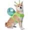 Show in main carousel: Frisco Snail Dog & Cat Costume, Large slide 1 of 9