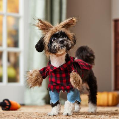 Show full view: Frisco Front Walking Werewolf Dog & Cat Costume, Small slide 8 of 10