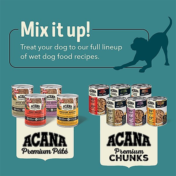 Show full view: ACANA Premium Pate Beef in Bone Broth Grain-Free Wet Dog Food, 12.8-oz, case of 12 slide 9 of 13