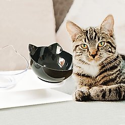 LaiFug Plastic Elevated Cat Bowl, White/Black