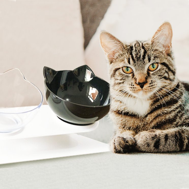 LaiFug Plastic Elevated Cat Bowl