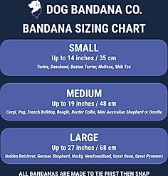 Dog Bandana Co. Patriotic Summer Dog Bandana, Small slide 2 of 3