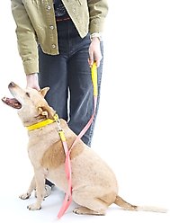Mimi Green Two Tone Waterproof Biothane Dog Leash, White/Black, 6-ft long, 1-in wide slide 2 of 4