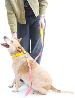 Show full view: Mimi Green Two Tone Waterproof Biothane Dog Leash, Mesa/Olive Green, 6-ft long, 1-in wide slide 3 of 4