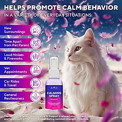 Beloved Pets Calming Pheromone Spray & Scratch Repellent for Cats, 1.5-oz bottle slide 2 of 7