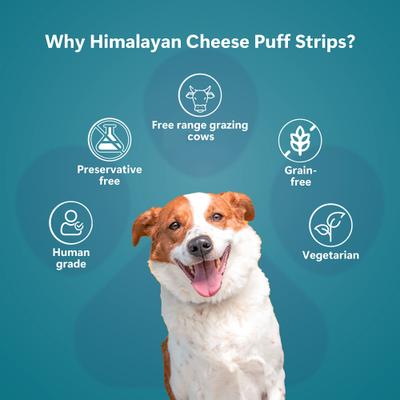 Show full view: Pawfect Himalayan Cheese Puff Strips All Natural Grain-Free High-Protein Crunchy Dog Training Treat, 2.47-oz bag slide 6 of 9