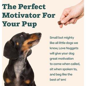 Woof Love Nuggets Meat & Beef Grain-Free Adult Soft & Chewy Training Dog Treats, 5.5-oz bag