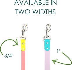 Mimi Green Two Tone Waterproof Biothane Dog Leash, Pastel Purple/Teal, 6-ft long, 3/4-in wide slide 2 of 4