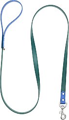 Mimi Green Two Tone Waterproof Biothane Dog Leash, Forest/Cobalt, 6-ft long, 1-in wide