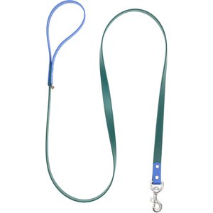 Mimi Green Two Tone Waterproof Biothane Dog Leash, Forest/Cobalt, 6-ft long, 1-in wide