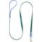Show in main carousel: Mimi Green Two Tone Waterproof Biothane Dog Leash, Forest/Cobalt, 6-ft long, 1-in wide slide 1 of 4