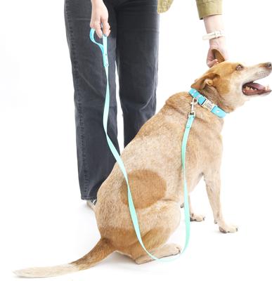 Show full view: Mimi Green Two Tone Waterproof Biothane Dog Leash, Pastel Purple/Teal, 6-ft long, 1-in wide slide 3 of 4