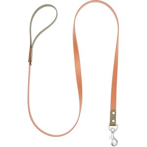 Mimi Green Two Tone Waterproof Biothane Dog Leash, Mesa/Olive Green, 6-ft long, 1-in wide