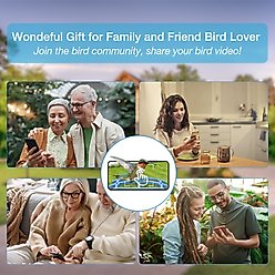 Aoruefar Smart Bird Feeder with Camera, Blue slide 2 of 7