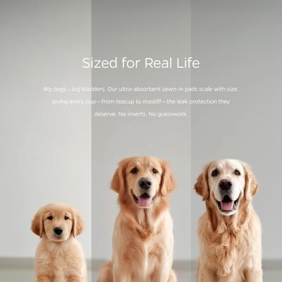 Show full view: Pet Parents Washable Male & Female Dog Diapers + Extendrs, Daisy, 3 count, Large slide 5 of 10