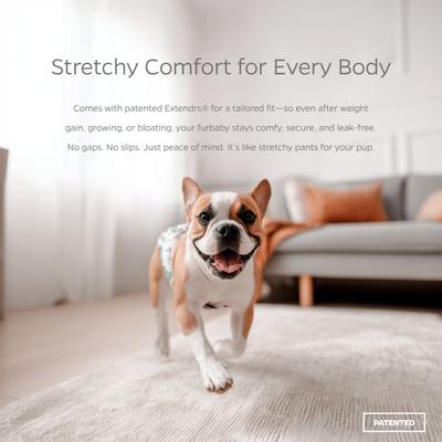 Show full view: Pet Parents Washable Male & Female Dog Diapers + Extendrs, Daisy, 3 count, Large slide 7 of 10