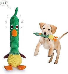 Nocciola 2-in-1 Squeaky Duck Dog Toy