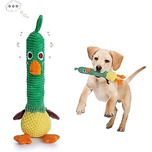Nocciola 2-in-1 Squeaky Duck Dog Toy