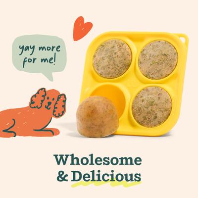 Show full view: Woof Pupsicle Mix Sample Pack Lickable Dog Treats, 6-oz bag slide 6 of 11