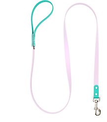 Mimi Green Two Tone Waterproof Biothane Dog Leash, Pastel Purple/Teal, 6-ft long, 1-in wide
