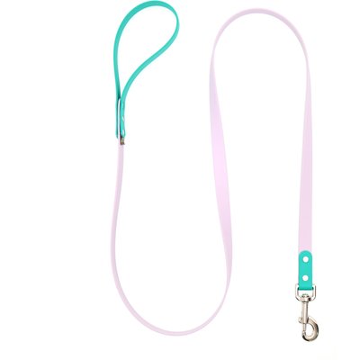 Mimi Green Mimi Green Two Tone Waterproof Biothane Dog Leash, Pastel Purple/Teal, 5-ft long, 3/4-in wide