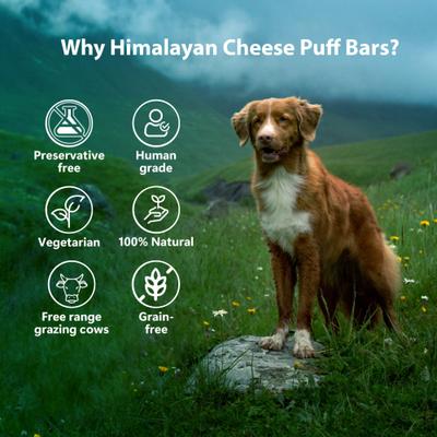 Show full view: Pawfect Himalayan Cheese Puff Bars All Natural Grain-Free High-Protein Crunchy Dog Training Treat, 2.47-oz bag slide 5 of 10